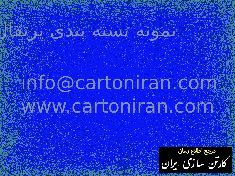 نمونه بسته بندی پرتقال